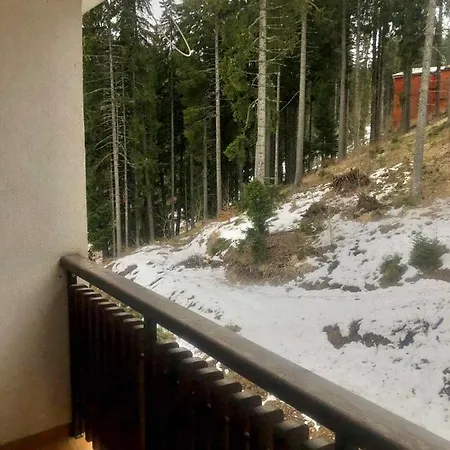 Apartment студио палас - Palace *