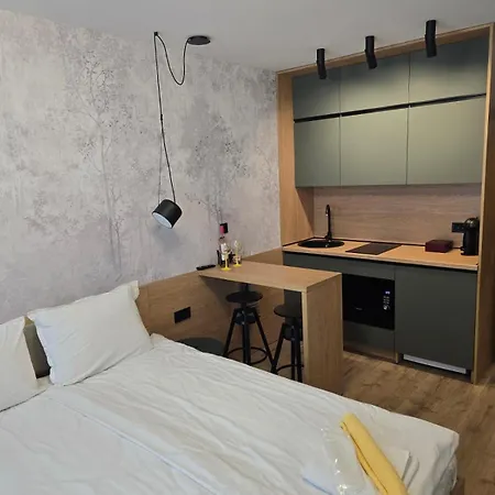 Apartament студио палас - Palace *