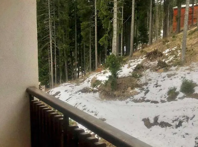 Apartment студио палас - Palace *